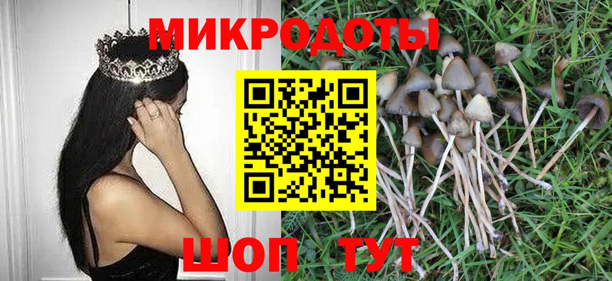 Галлюциногенные грибы мухоморы Надым